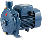 Центробежный насос Pedrollo CP 250B-N
