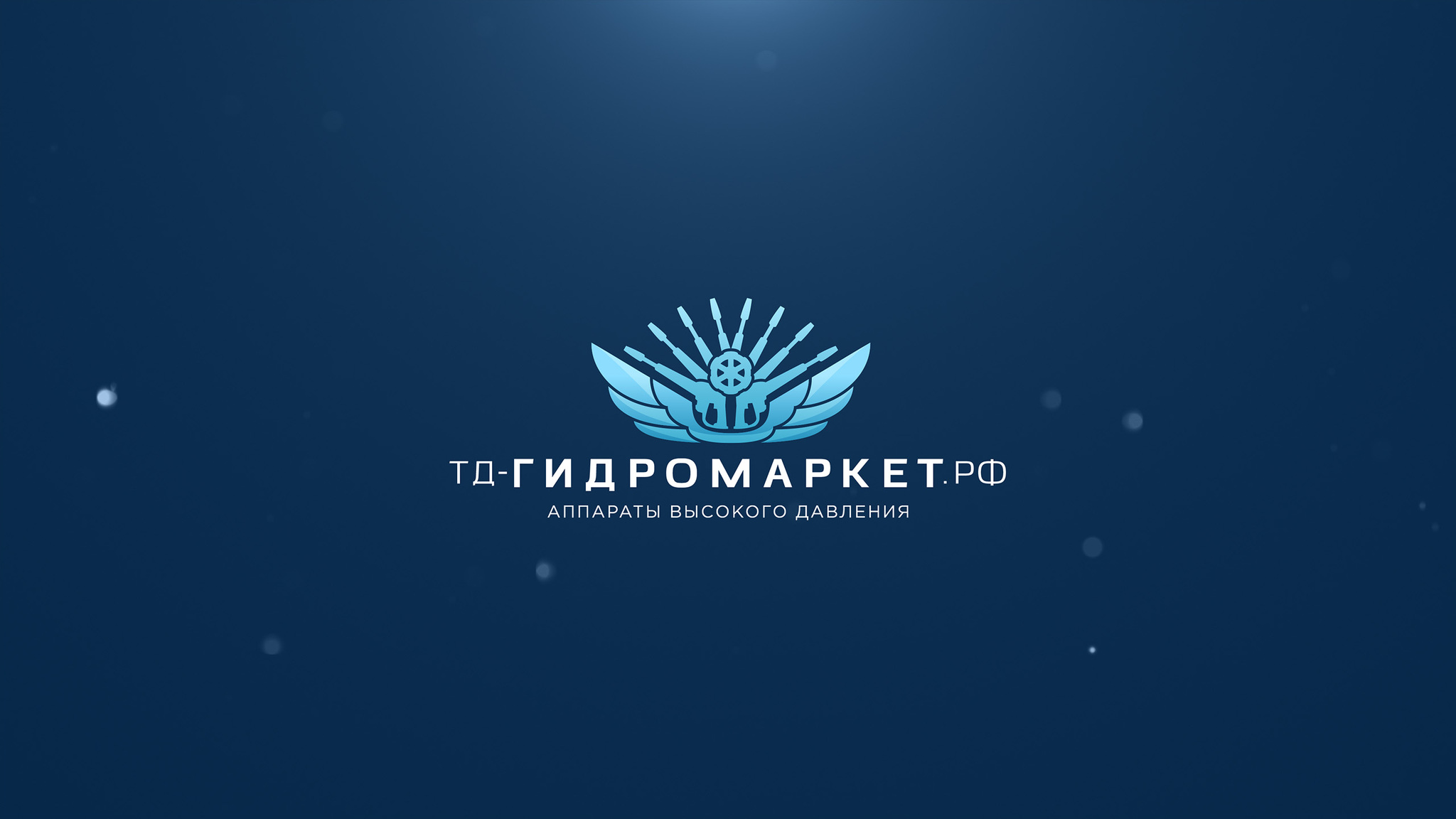 KIT Ремкомплект Sting Plus 249893973
